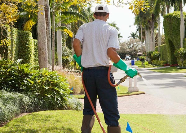 About Cibolo TX Pest Control Pros
